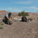Zachary Lavender preparing to excavate the specimen in Arizona’s Petrified Forest National Park in 2010.